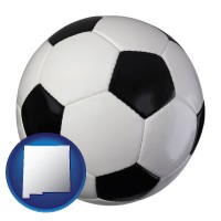new-mexico map icon and a soccer ball