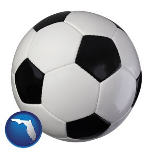 a soccer ball - with Florida icon