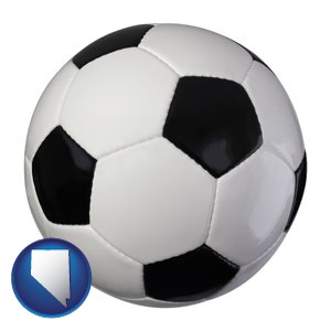 a soccer ball - with Nevada icon